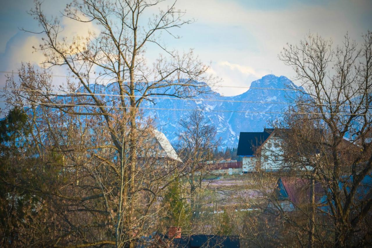 Vila Kwiat Sniegu Deluxe Kolo Gubalowki Nowe Bystre Exteriér fotografie